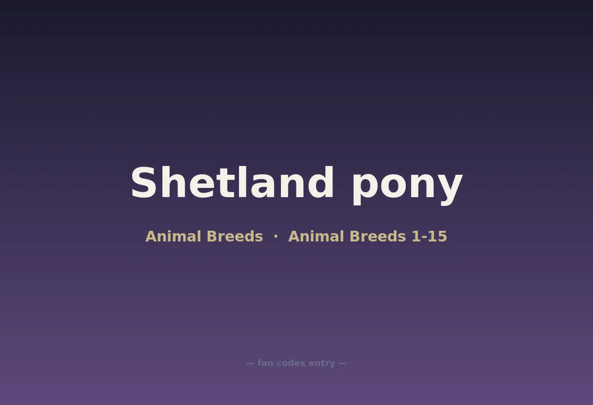 Shetland pony